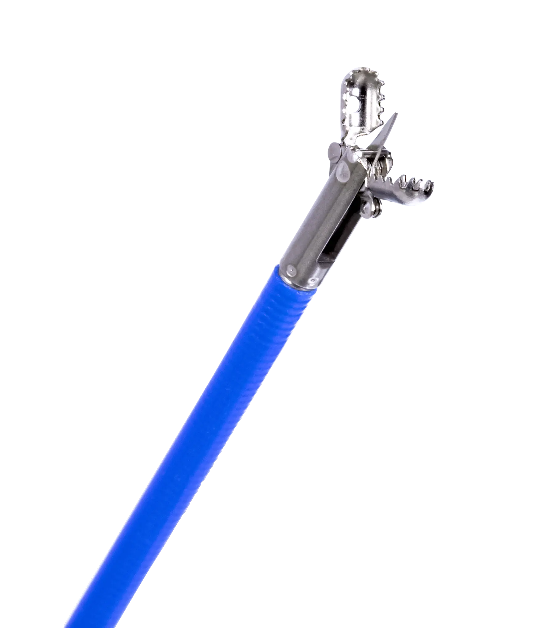 Creo Medical Biopsy Forceps